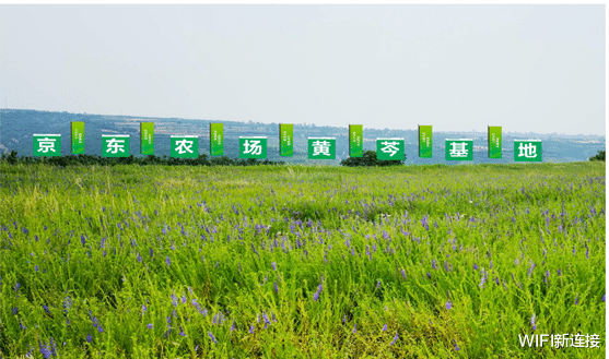 智能头盔|“丝滑”双11分钟级送达!京东云你是怕我跑路吗?