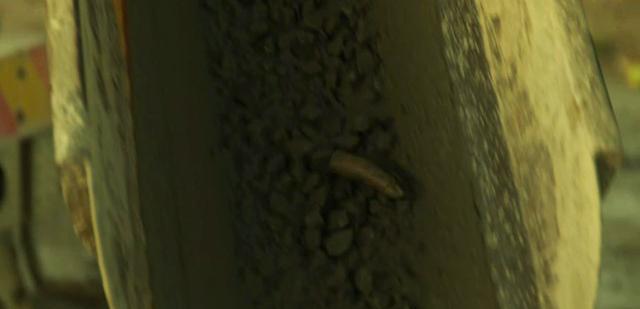 白江波|《狂飙》残暴美学，从白江波、谭思言到王力、崔姨，从肉体到灵魂