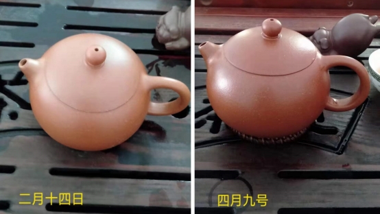 |紫先生:新的紫砂壶要不要泡养?