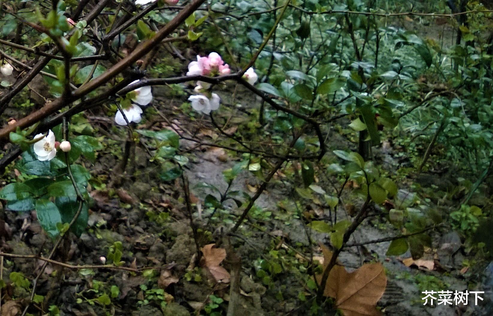 薪水|职场一见如故,也不能无话不谈