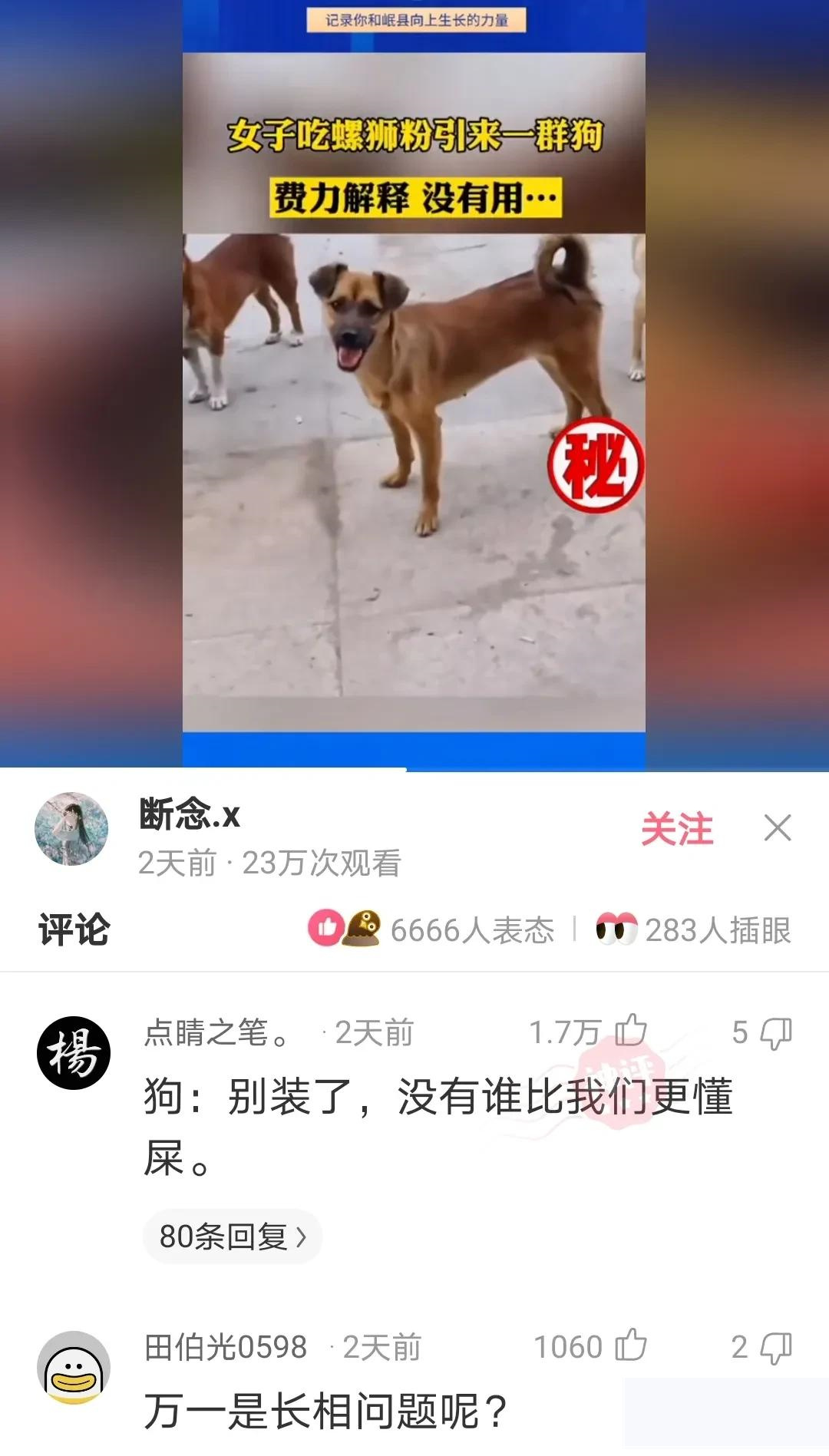 孙一宁 神回复：孙一宁直播间50多万人，算是直播界第一人吗？神评绝了