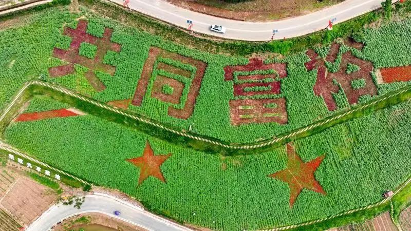 乡村旅游|点赞！海龙村正式被确定为全国乡村旅游重点村