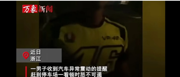 近日,浙江一男子突然收到汽车异常震动的提醒