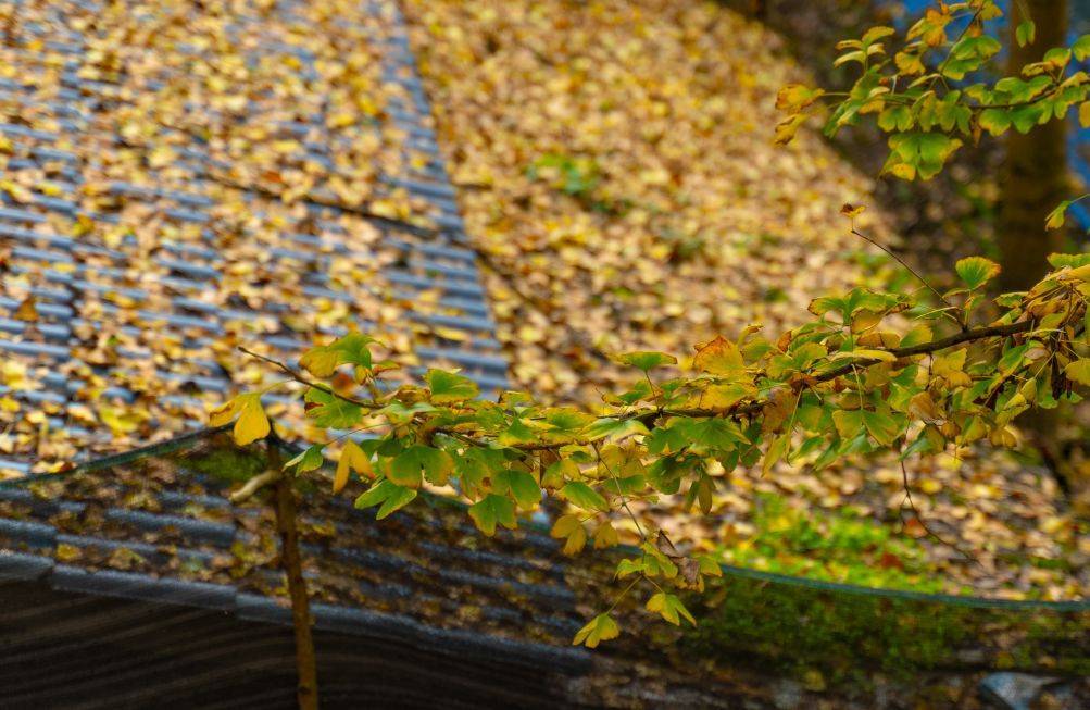 绵竹|创建天府旅游名县|来绵竹这个初秋,有些美好与温暖想与你分享~