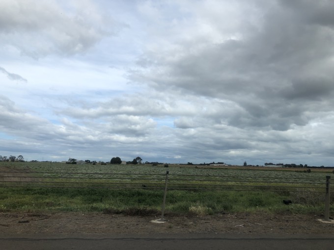 |澳大利亚~~不枉此行休闲游