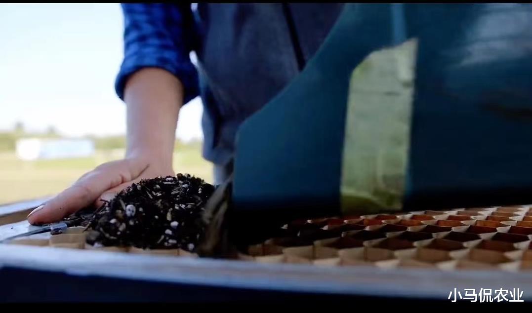 欧洲家庭农场10大播种工具，小而美效率提升50倍，小工具大智慧