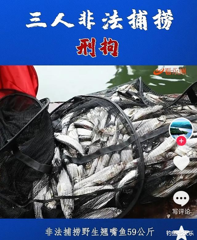 湖南|用泥鳅垂钓，湖南三名“假钓友”被抓！现场查获59公斤翘嘴鱼