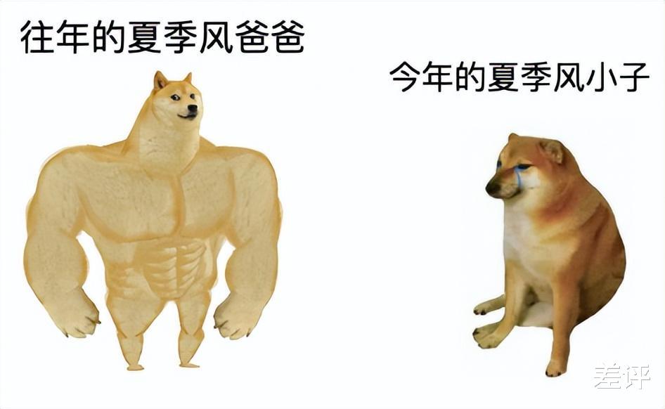 iPhone|手机移动网络变得很慢？可能是被40度的天热坏了