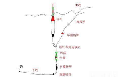 |悬坠钓法巧钓鲫鱼,一级竞钓大师侯国庆能否一招致胜?