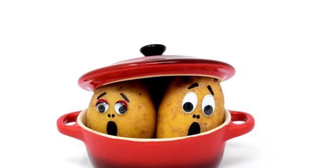 客服|我发现了，不论私企国企还是体制，单位里过得好的只有两种人