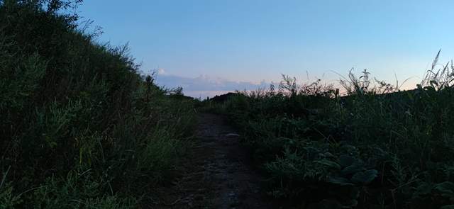 昭通|重走来时的路！云南昭通乐居镇周家口子村散步记