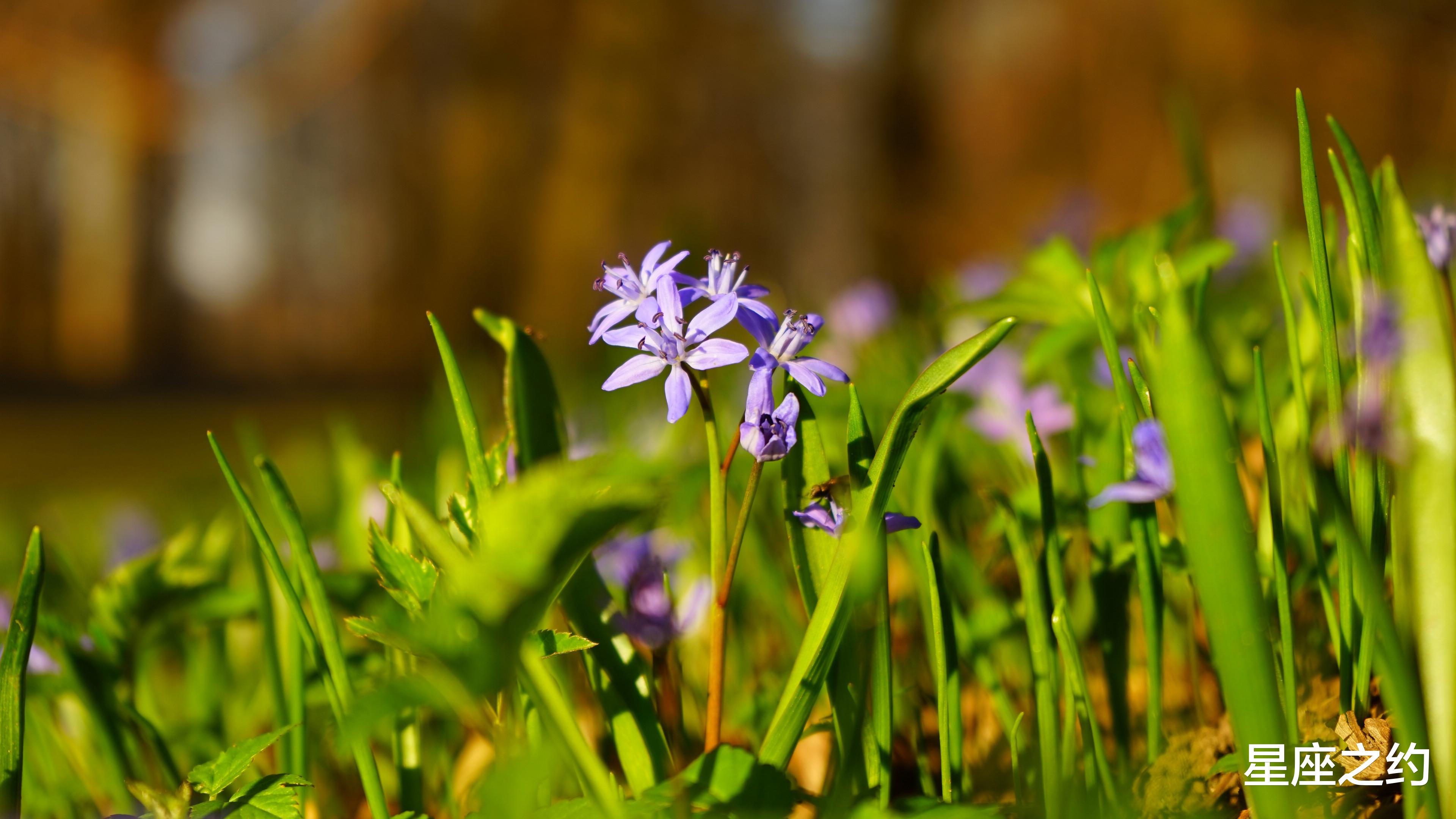 中乙|4月下旬，拨云见日，初心不改，突破瓶颈的三大星座