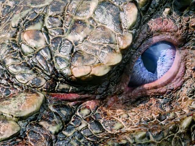 沉香如屑|《沉香如屑》:从柳维杨邀众人进魔相,才明白他就是仙魔大战魔神