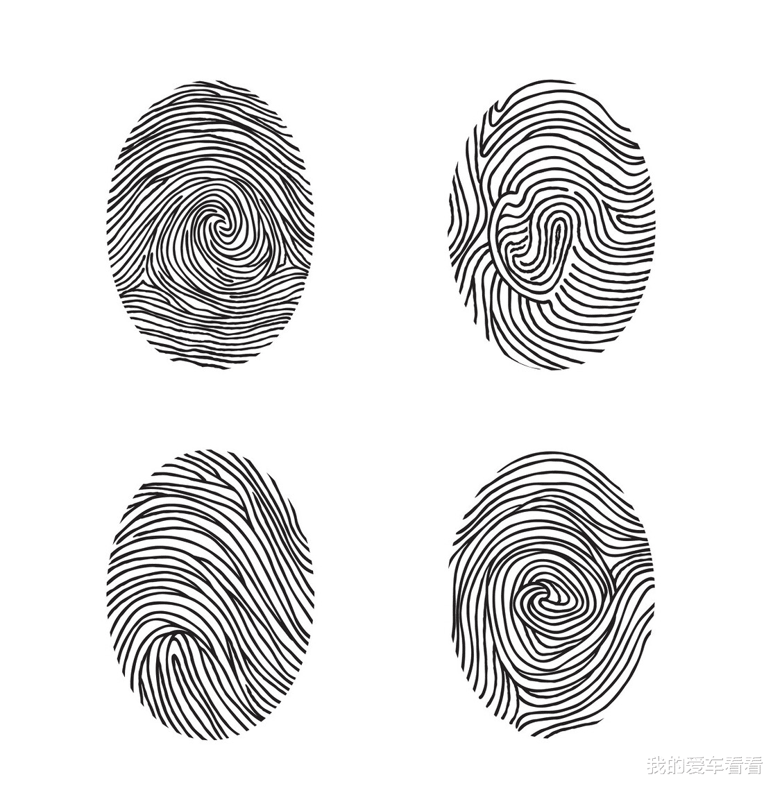 一斗穷,二斗富是真的吗?中科院发现“斗”和“簸箕”的基因奥秘