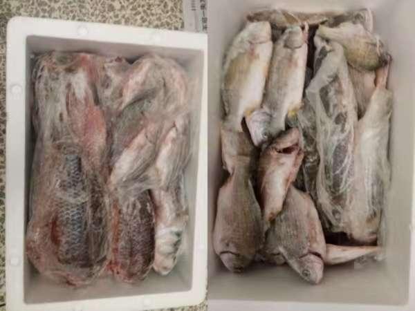 |【作钓报告】2022钓鱼之路已走完,2023开拓新的天地解锁新鱼种