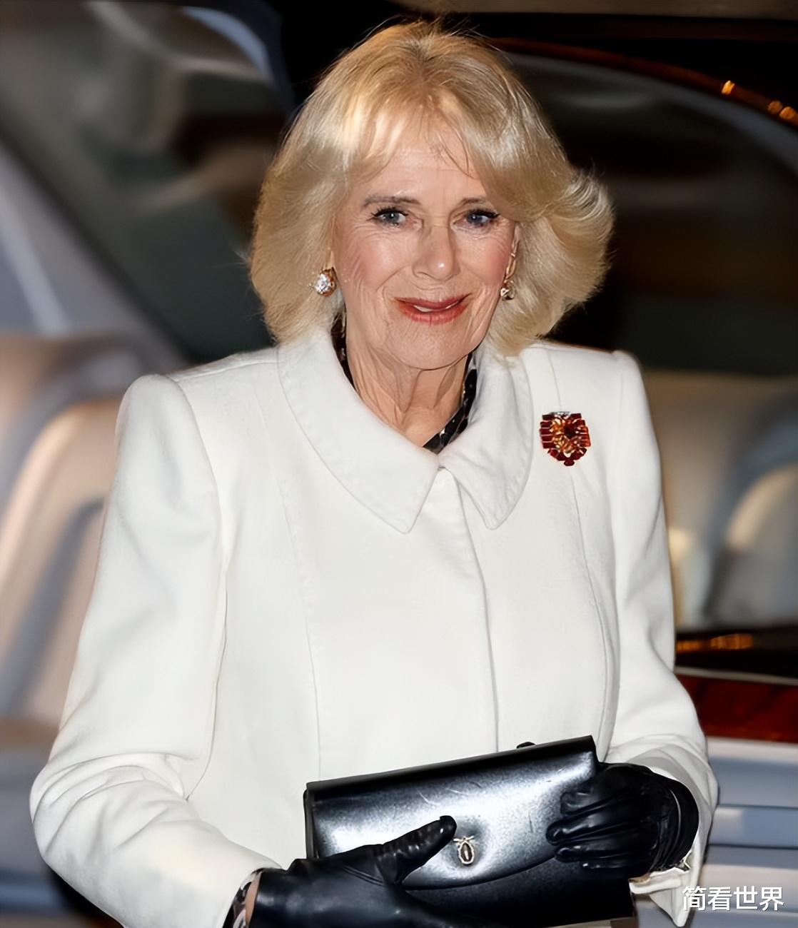 凯特王妃|家贼难防！凯特王妃故意撞衫，隔空反击梅根，却防不住两拉胯队友