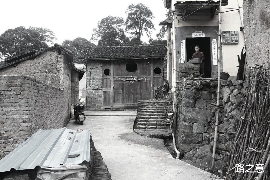 福安 猪死人亡，村民大半外出逃命，这是怎么回事？99年福安上湾村事件
