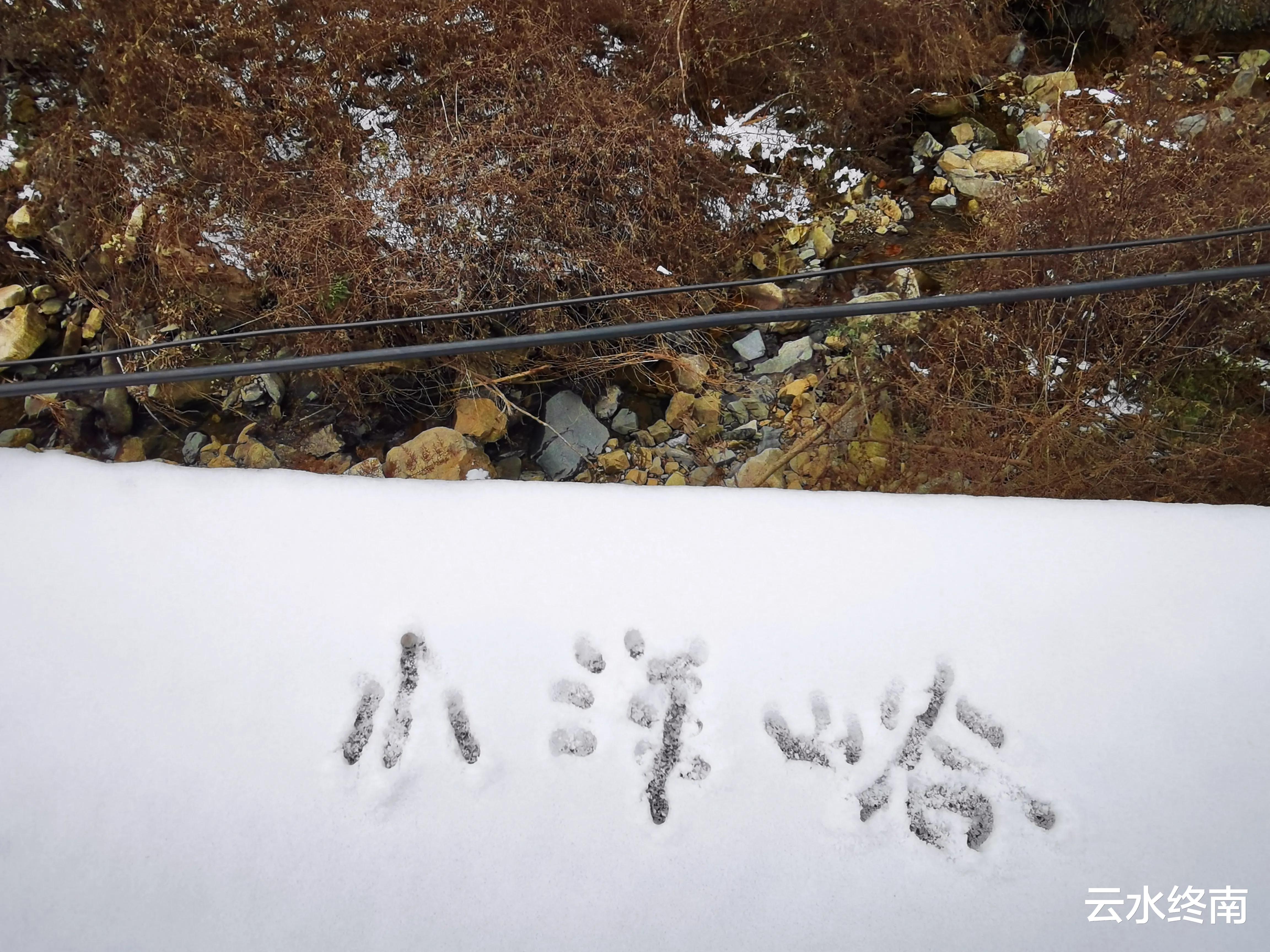 柿子|连名字都沾光的峪口，景色优美，但里面的柿子树可不要乱折
