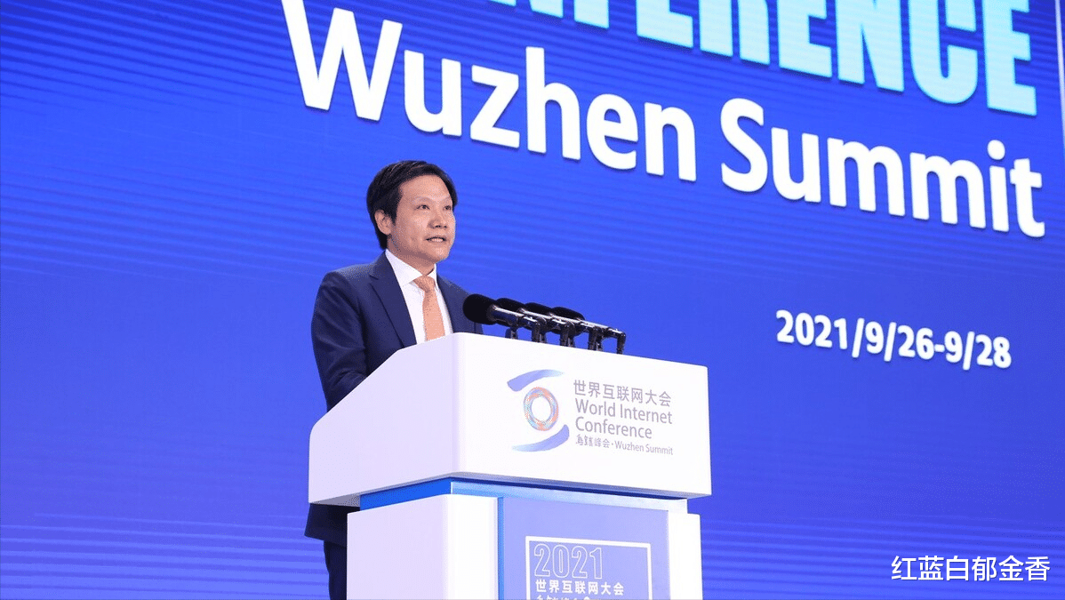 阿里巴巴|网红任泽平碰瓷雷军