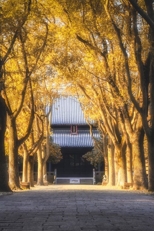 旅行车|选择一种旅行方式，去远方看看美丽的人生