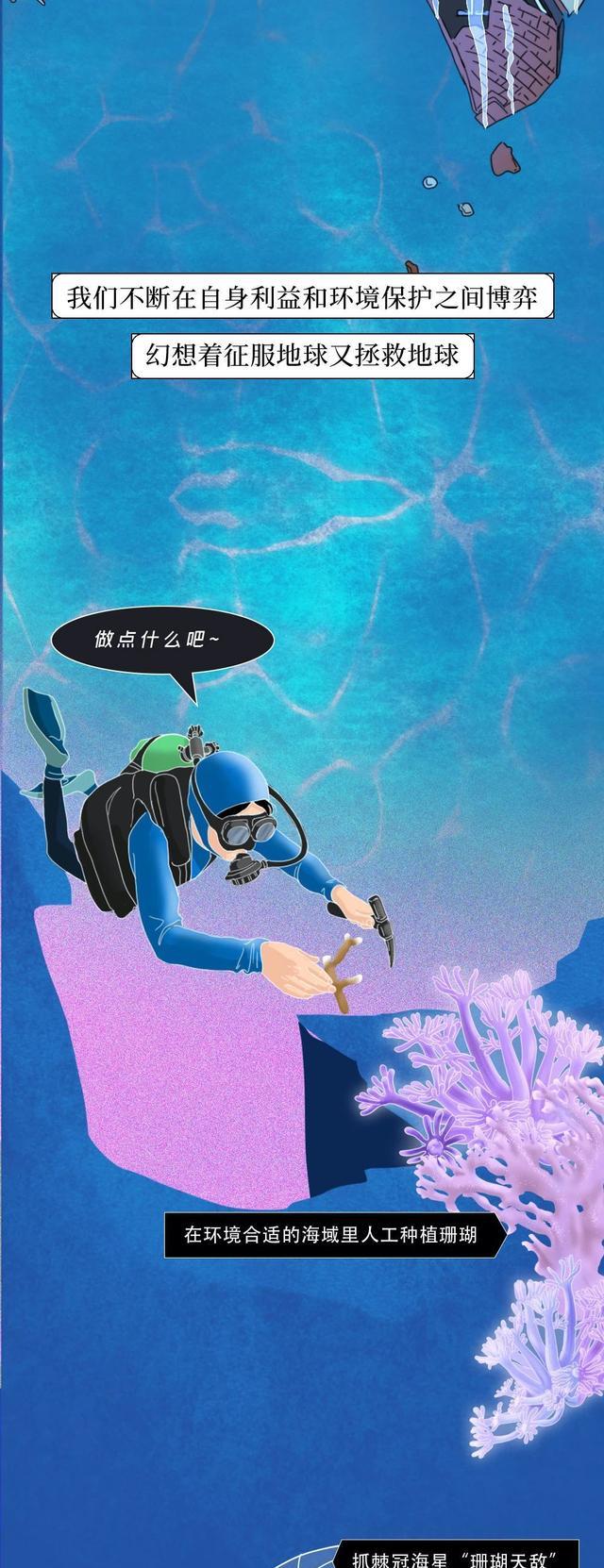 我在海底,目睹了世上最“残酷”的死亡……(漫画科普)涨知识!