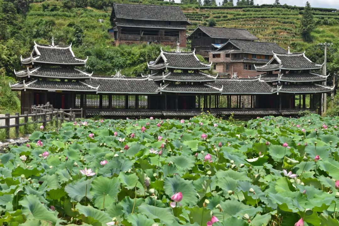 晋江|500多年历史的古侗寨，藏在群山之巅，免费却鲜有游客！