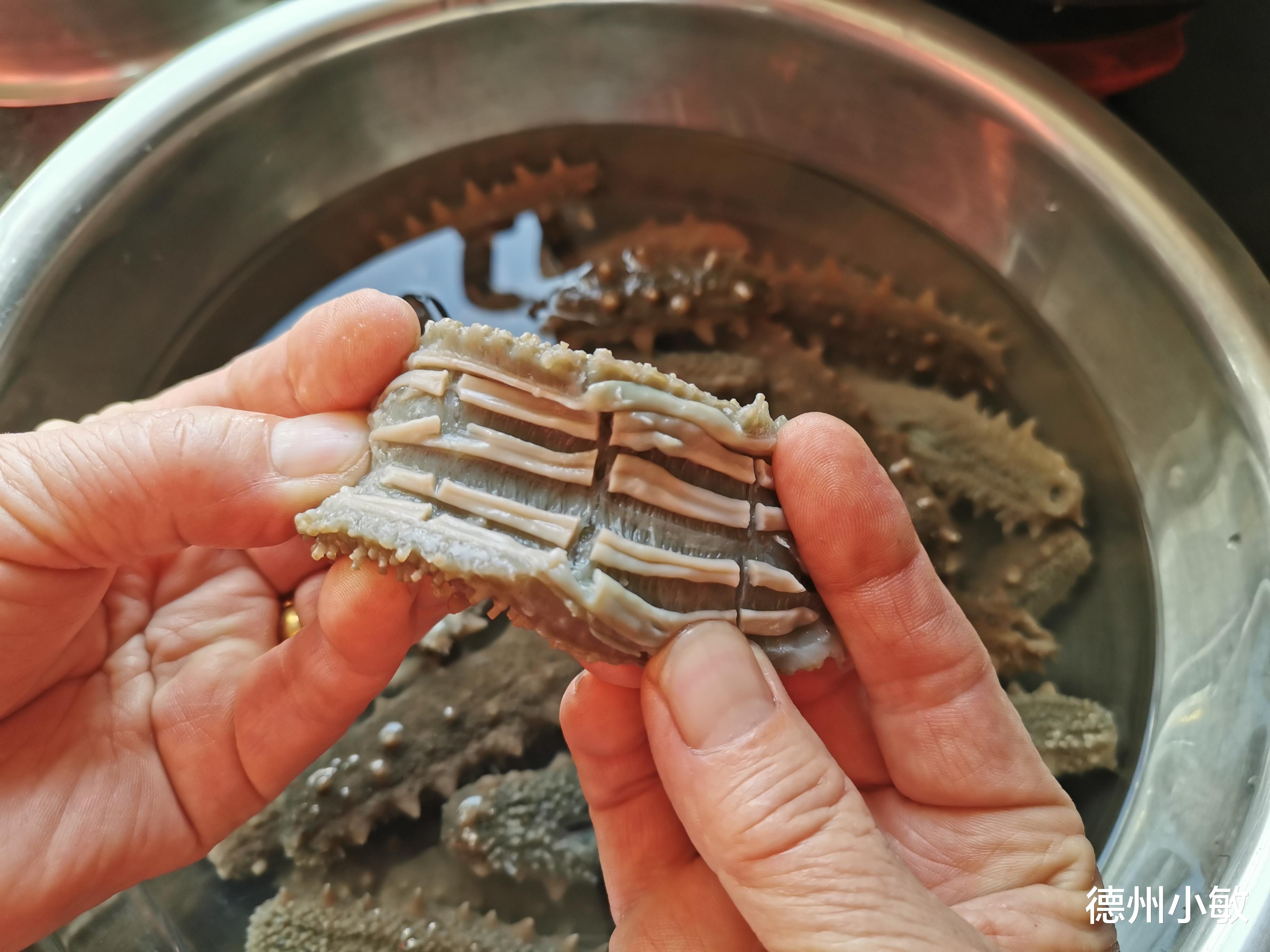 海参那么贵,最忌直接加水泡,正确做法和要点讲解,新手一次成功