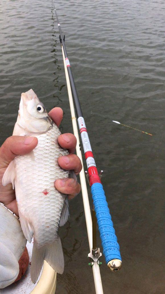 |冬季野钓诱鱼需要搭配，发窝快留鱼也持久