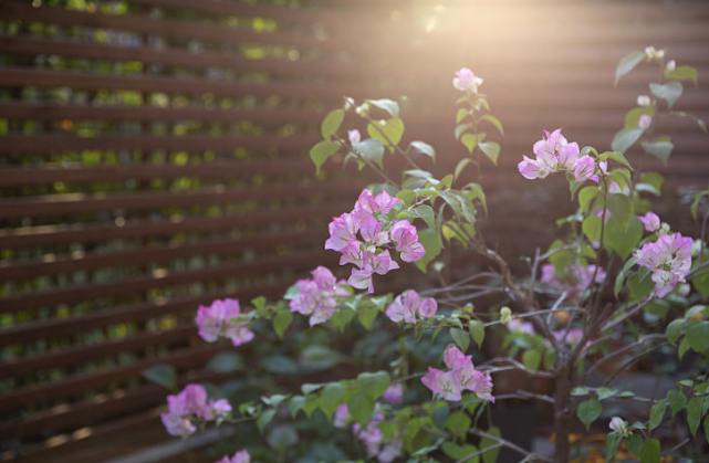 为70㎡庭院她买下252㎡底楼,完工后惊艳万分!这个家能治愈心灵