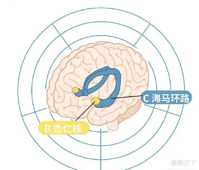 唤醒三所之前的记忆,就能打开天眼吗?为了关闭人类的天眼,三岁之前的记忆被雪藏!