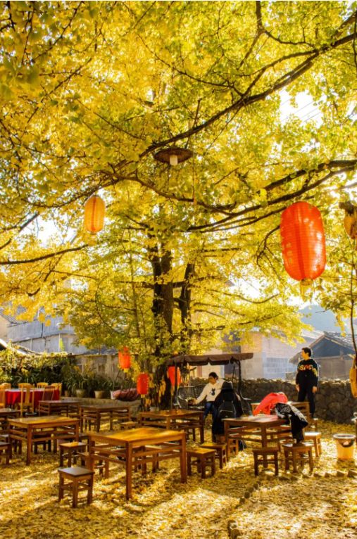 梯田|10个景点告诉你，秋季为什么一定要出去旅游