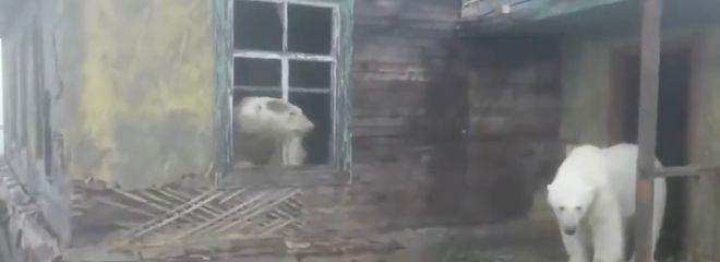 川渝高温只是灾难的开端