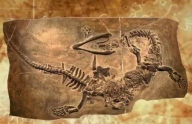 12生肖都有对应实物?贵州出土“新中国龙”,证明龙或许不是虚构