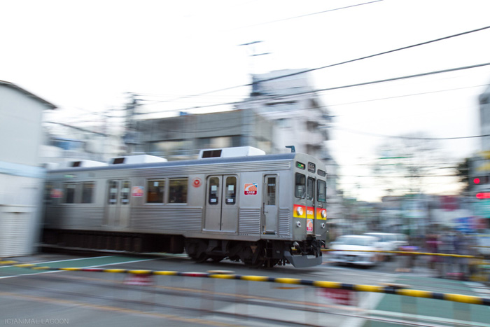 学会控制快门速度和构图,让你的摄影技术突飞猛进