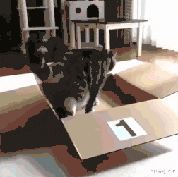 阳台|“老家的房子完工了,可总觉得哪里不对劲,”这阳台是