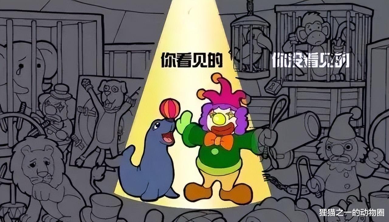 欧洲虎鲸频繁攻击船的方向舵,却从不伤人,科学家:只是因为好玩