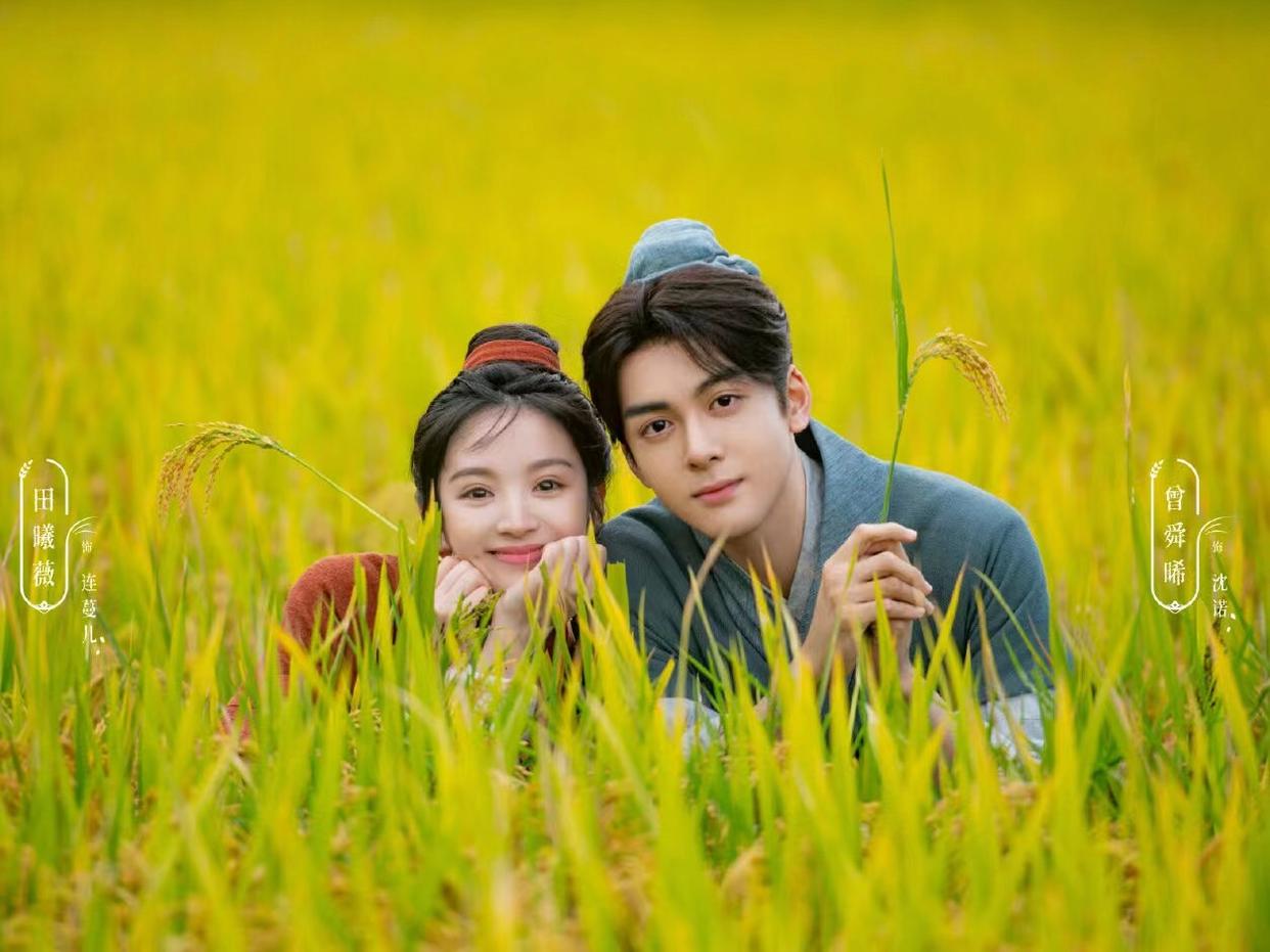 去有风的地方|《去有风的地方》定档开播,曾舜晞双剧待播,与成毅田曦薇合作