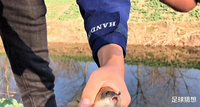 |用传统钓法钓鱼,鱼很少吞钩,仅仅是因为朝天钩挡口?