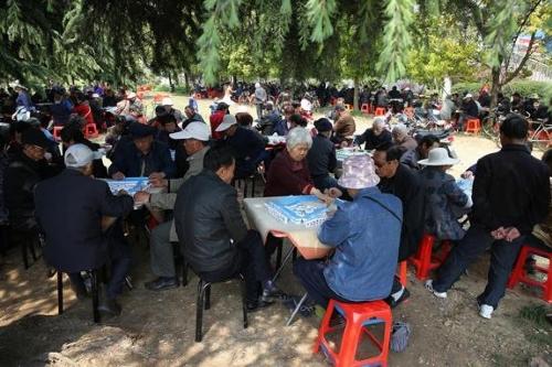 劳动教育|探索教育出路的求助信