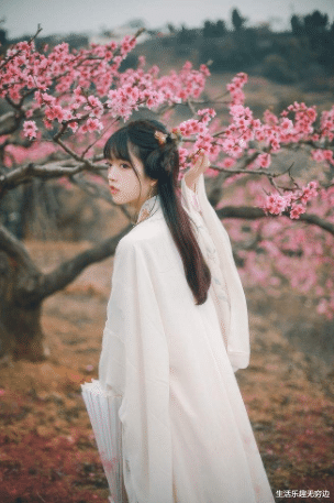 芯片|植物35亿年历史,竟然没进化出一种黑色的花,为什么?