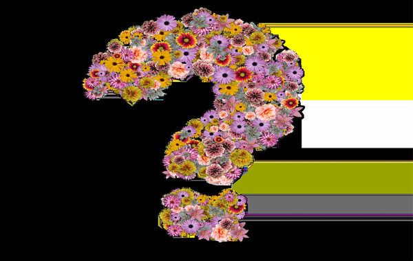 客服|为什么要选择天猫客服外包公司