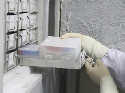微生物菌种保存方法--80℃冰箱冻结法|初农生物