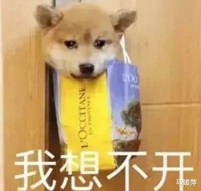 “P站女神”玩偶姐姐被网友爆料赚了上亿元,实现财务自由