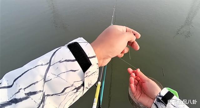 饵料|野外钓鱼有很多忌讳，你触犯了几条？
