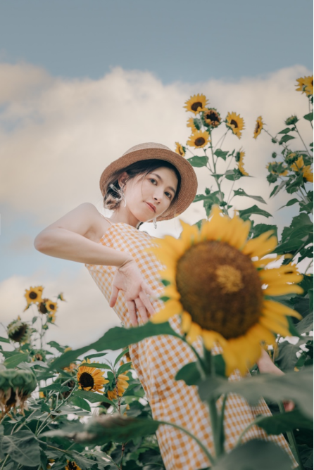 向日葵氛围感,35和85mm人像拍摄思路