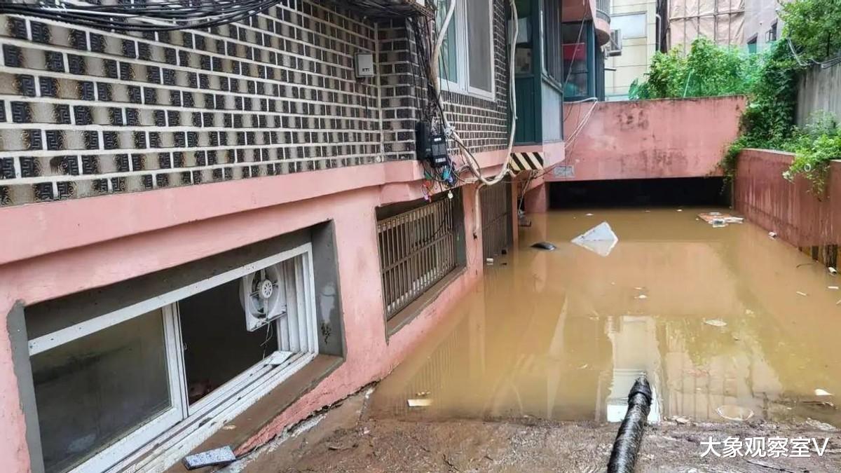 陈红|真实还原《寄生虫》场景，暴雨是公平的，却只淹没了韩国的穷人
