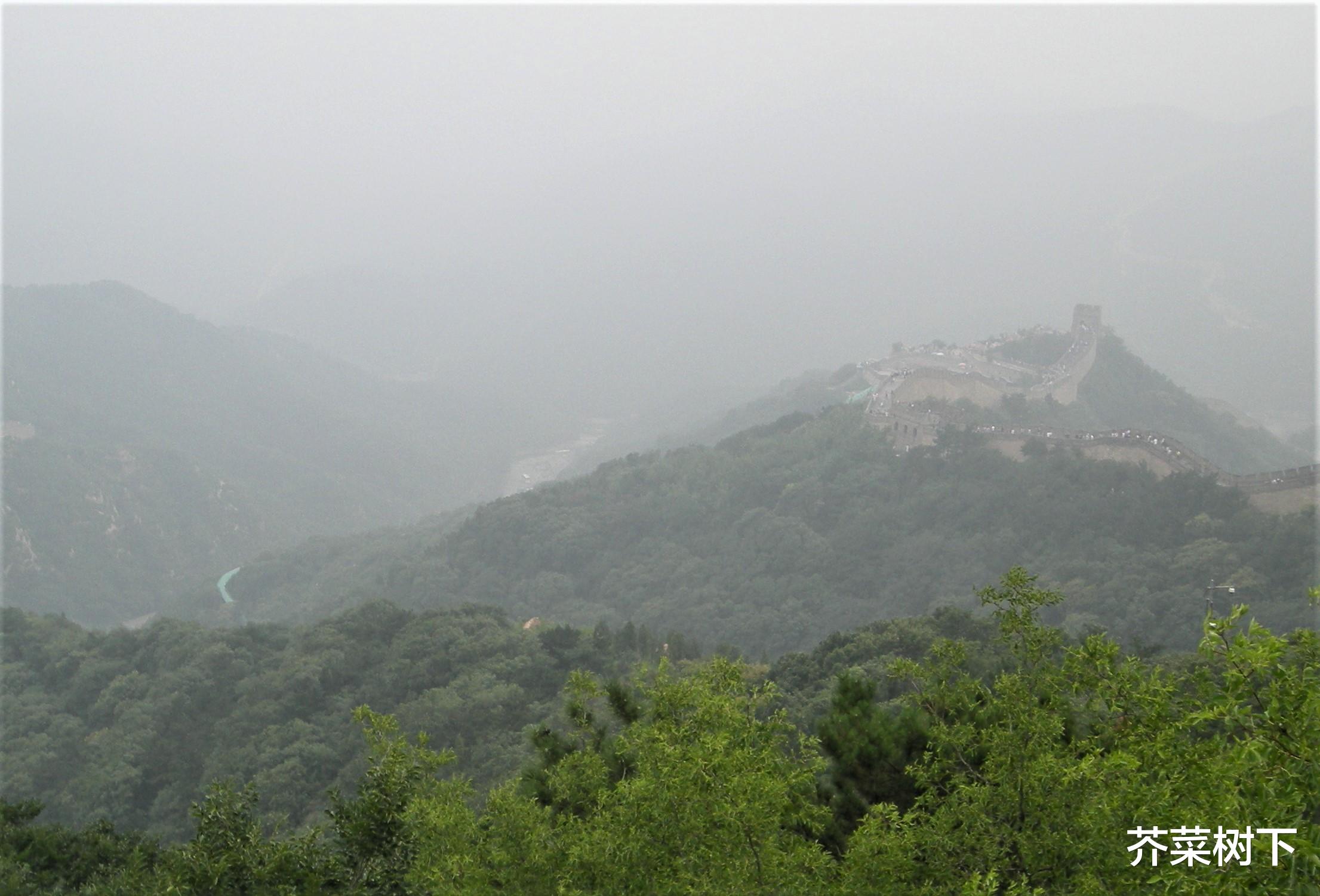 招聘|有些努力,本就无效