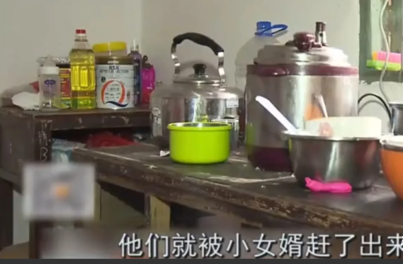一女子家的房屋拆迁,女婿知道后逼着她交出房 产证,被女婿打出家门