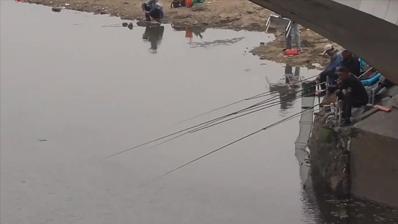 河南|河南一河道成天然黑坑，成百上千的钓鱼人蜂拥而至，网友：该管管