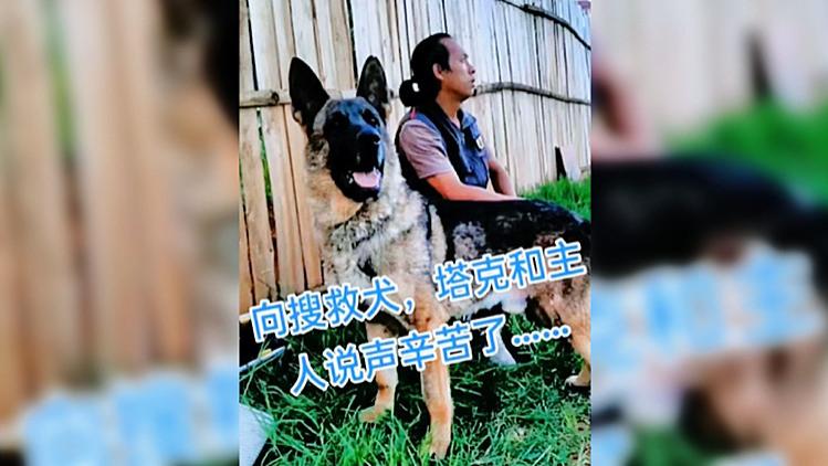 胡鑫宇失踪50天，事件又起波澜，搜救犬主人遭网暴：3处疑点是瞎扯忽悠人